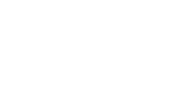 dvsc logo
