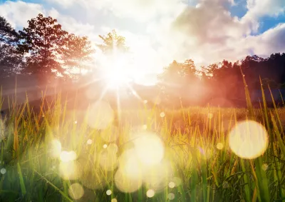 Paddy field farming at sunrise